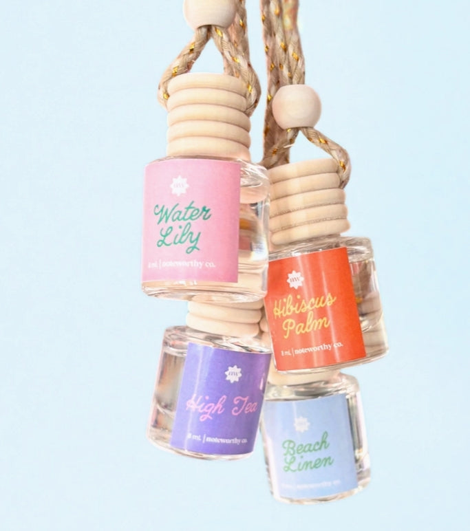 Spring & Summer Scent Car Diffusers