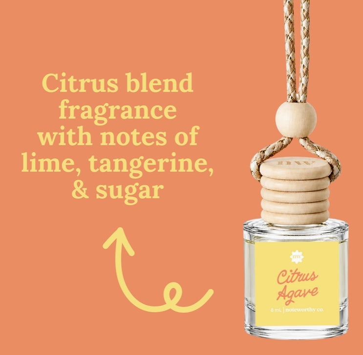 Spring & Summer Scent Car Diffusers