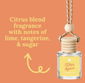 Spring & Summer Scent Car Diffusers
