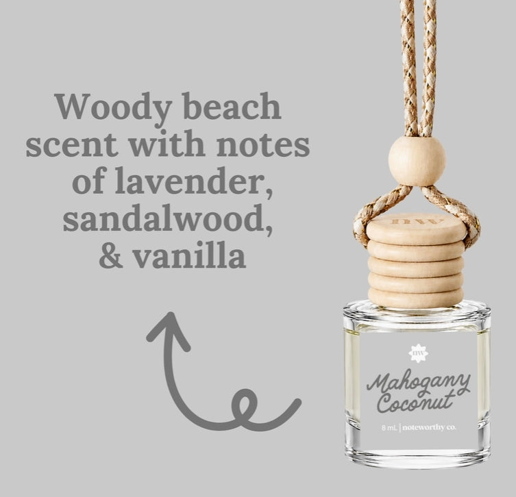 Spring & Summer Scent Car Diffusers