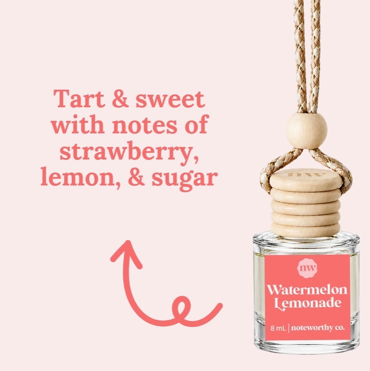 Spring & Summer Scent Car Diffusers