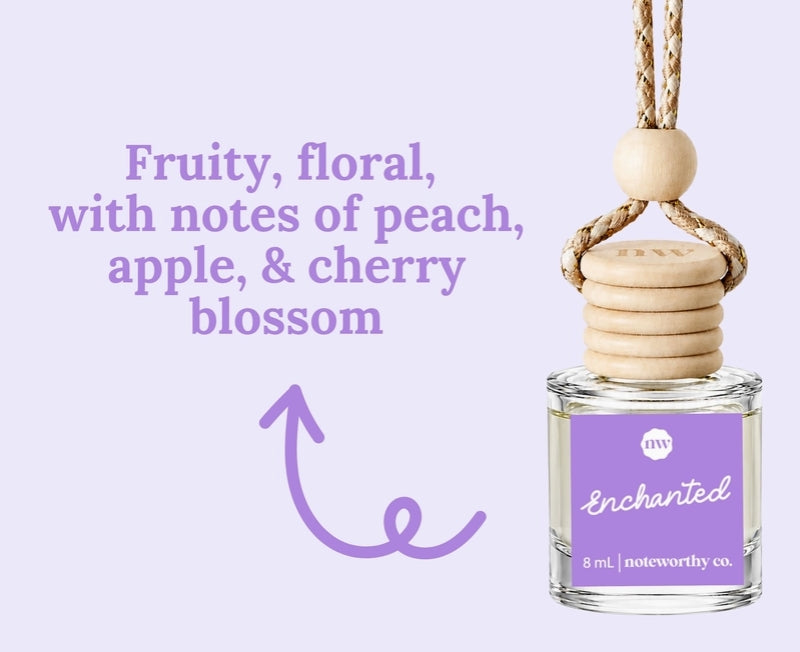 Spring & Summer Scent Car Diffusers