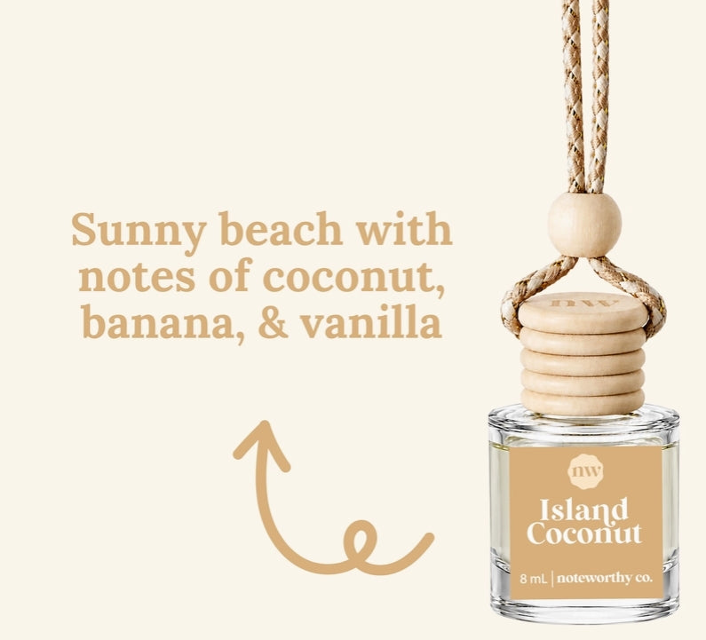 Spring & Summer Scent Car Diffusers
