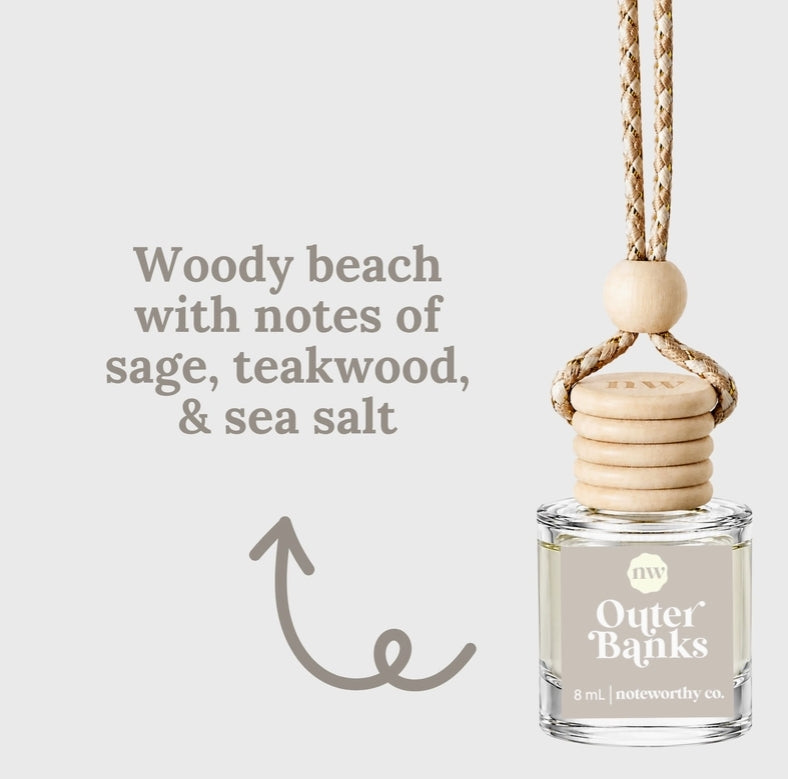 Spring & Summer Scent Car Diffusers