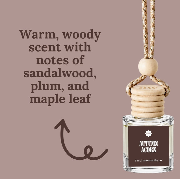 Fall Scent Car Diffusers