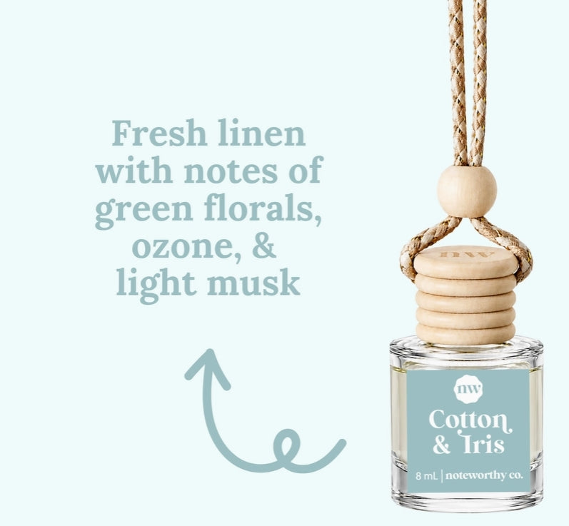 Spring & Summer Scent Car Diffusers