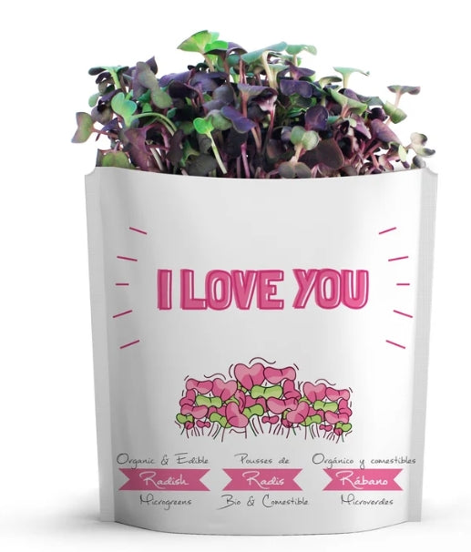 "I love you" Radish Microgreens