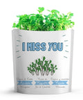 "I miss you" Arugula Microgreens