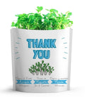 "Thank you" arugula microgreens