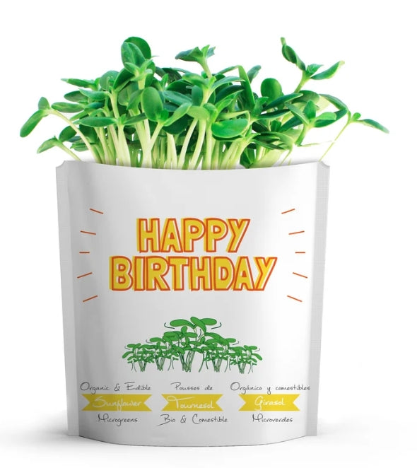"Happy Birthday" Sunflower microgreens