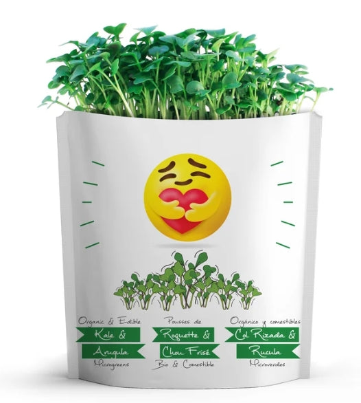 "Hugs" Kale & Arugula Microgreens