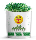 "Hugs" Kale & Arugula Microgreens