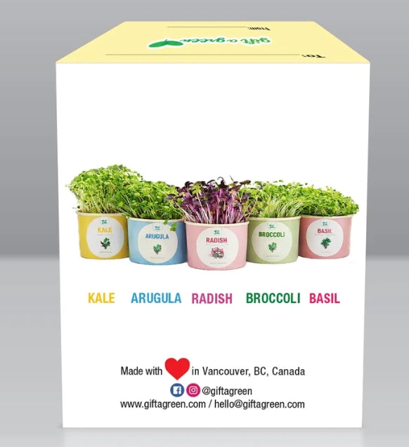 "Thanks for helping me grow" large microgreen box