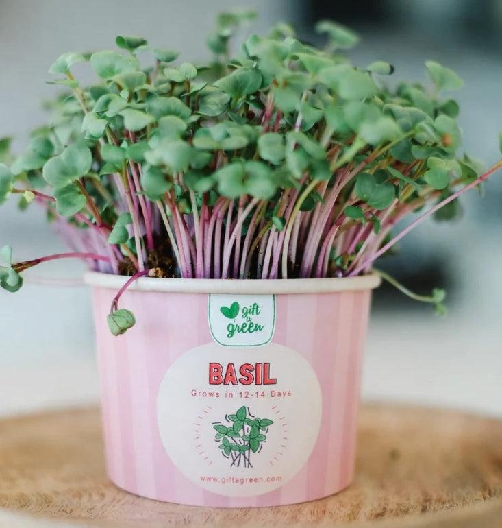 "Thanks for helping me grow" large microgreen box