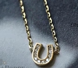 Horseshoe & Hope Necklace